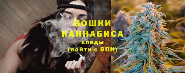 ПСИЛОЦИБИНОВЫЕ ГРИБЫ Алзамай