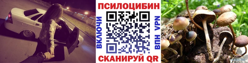купить наркоту  Приморск  Псилоцибиновые грибы GOLDEN TEACHER 